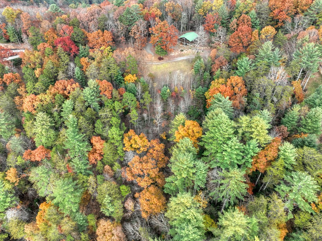 654 Stover Knob Trail