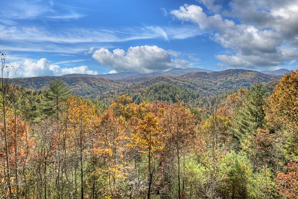 671 Stover Knob Trail