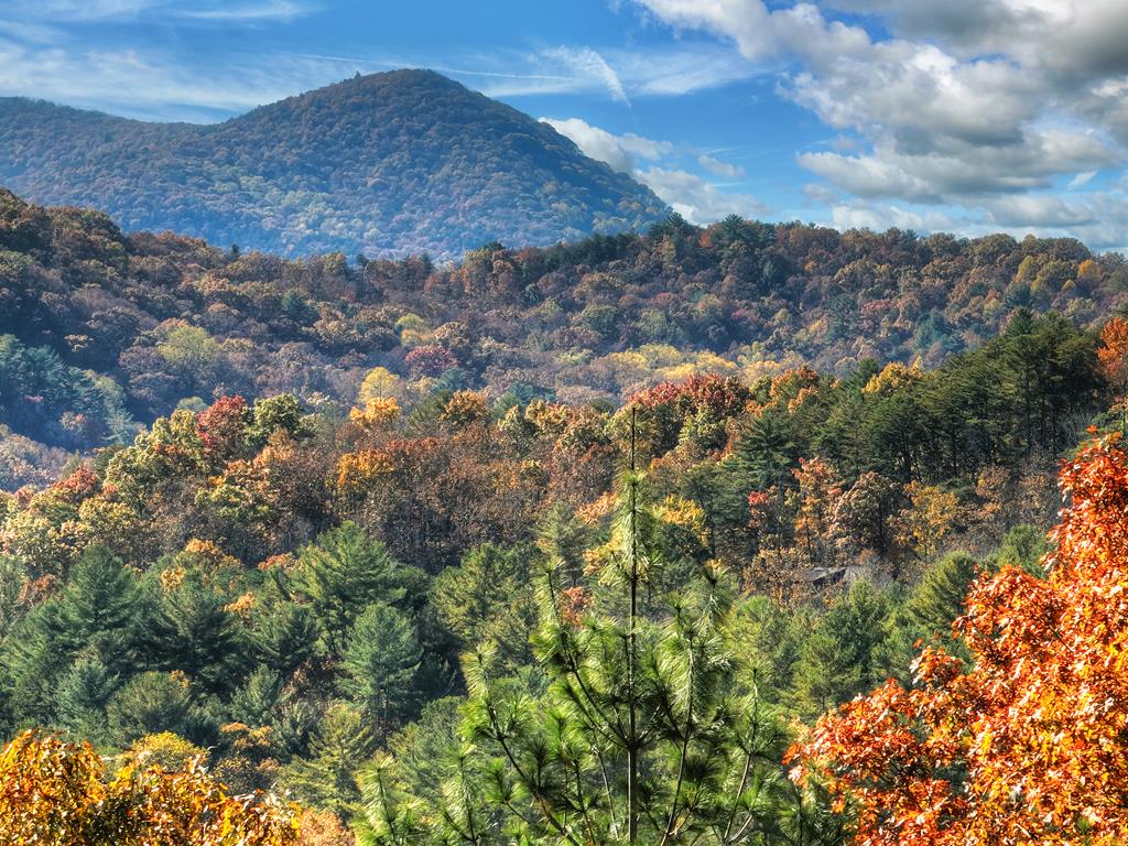 671 Stover Knob Trail