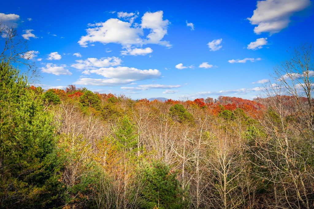 290 Weaver Creek Overlook