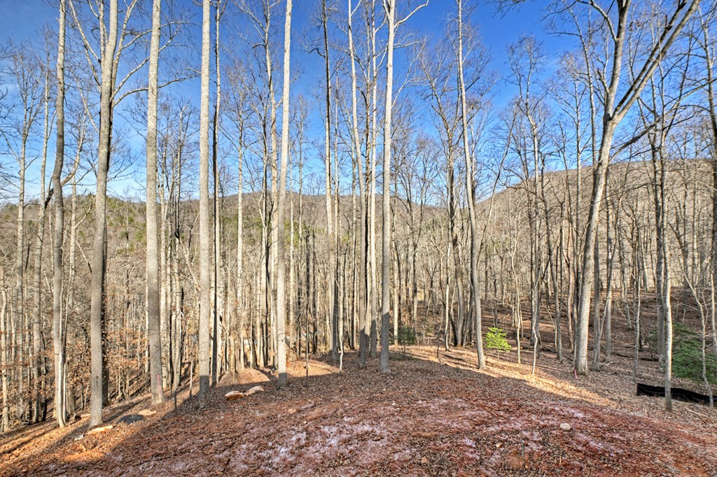 Lot 2 Grand Oaks S/D