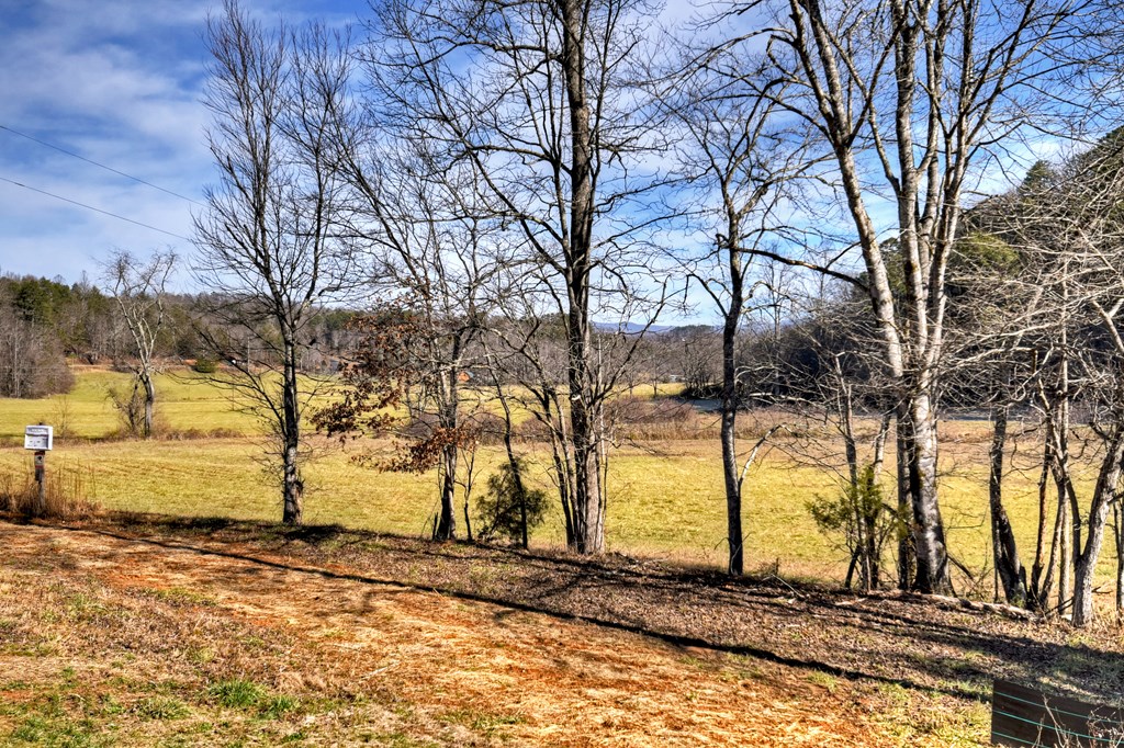 584 Brannon Nix Road