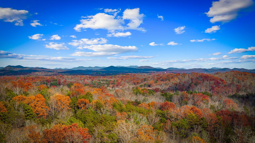 290 Weaver Creek Overlook