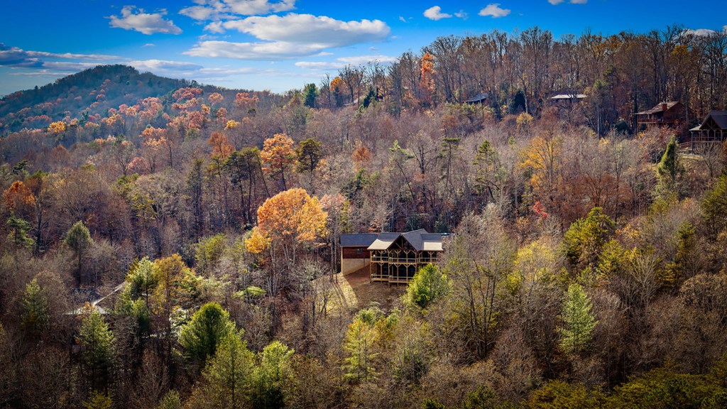 290 Weaver Creek Overlook