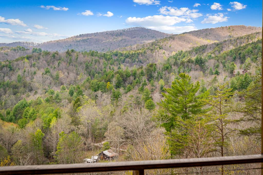 125 Stanley Creek Overlook