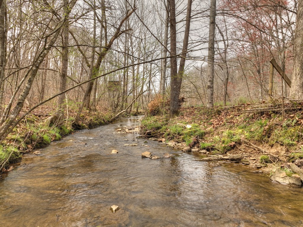 Lt 54-56 Black Gum Ii & Iii