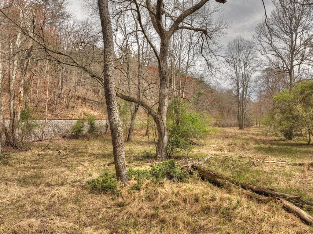 Lt 54-56 Black Gum Ii & Iii