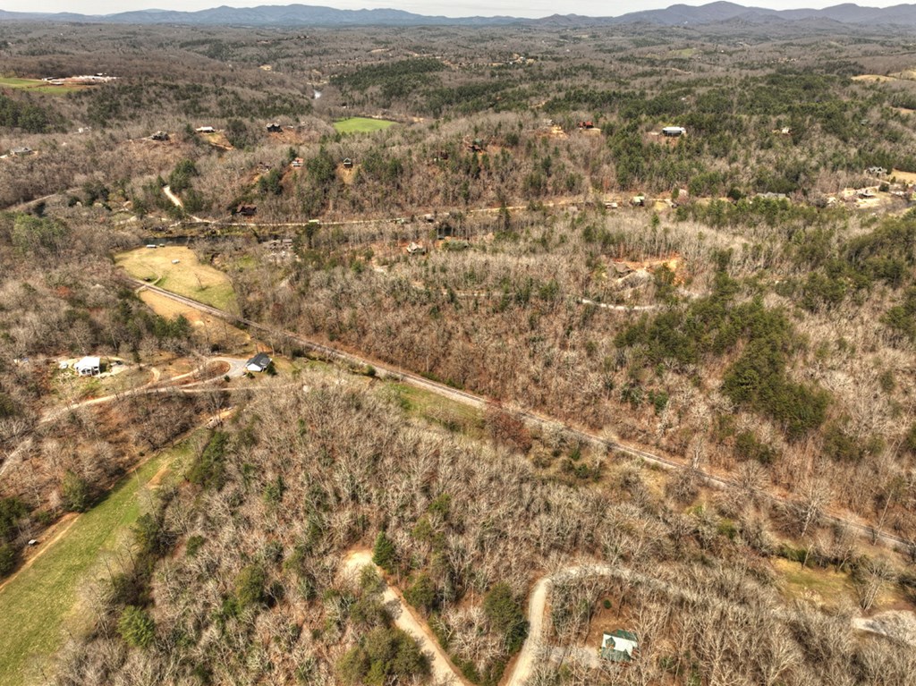 Lt 54-56 Black Gum Ii & Iii