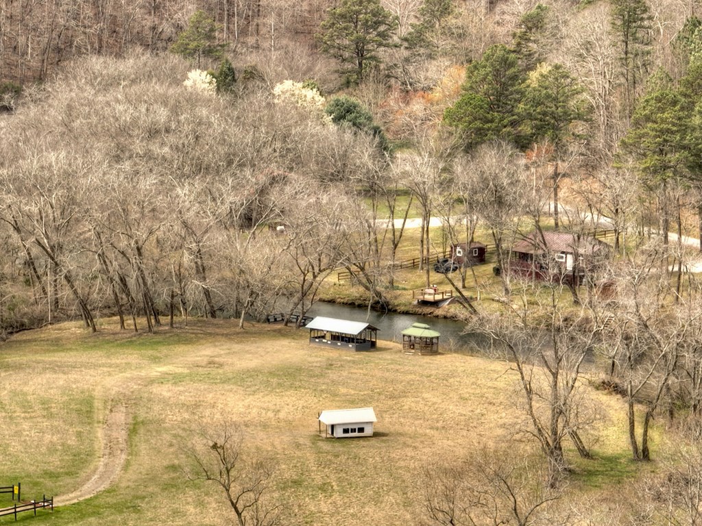 Lt 54-56 Black Gum Ii & Iii