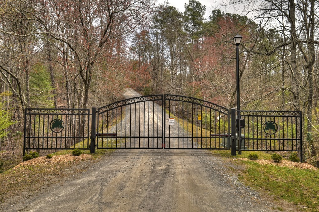 Lt 54-56 Black Gum Ii & Iii