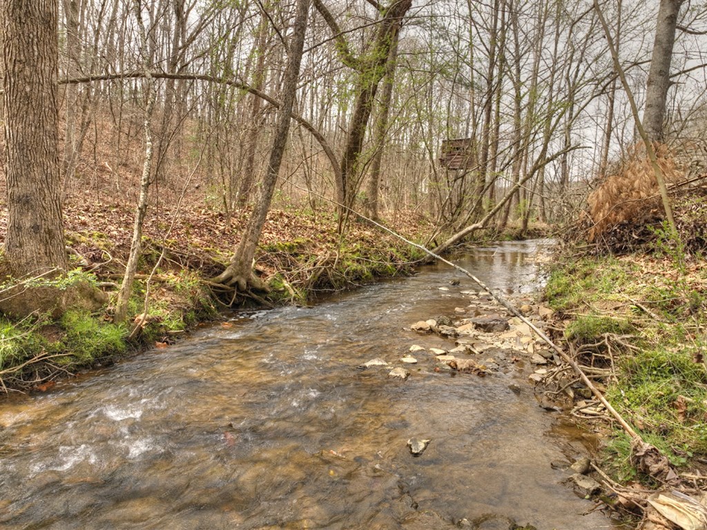 Lt 54-56 Black Gum Ii & Iii