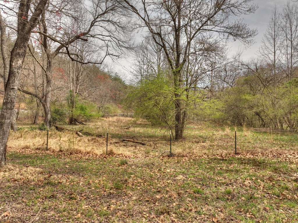 Lt 54-56 Black Gum Ii & Iii