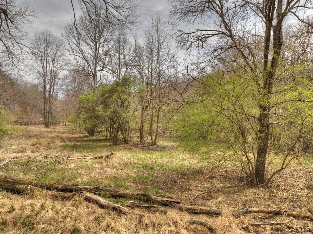 Lt 54-56 Black Gum Ii & Iii