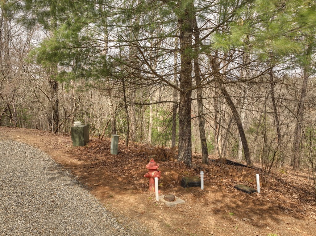 Lt 54-56 Black Gum Ii & Iii