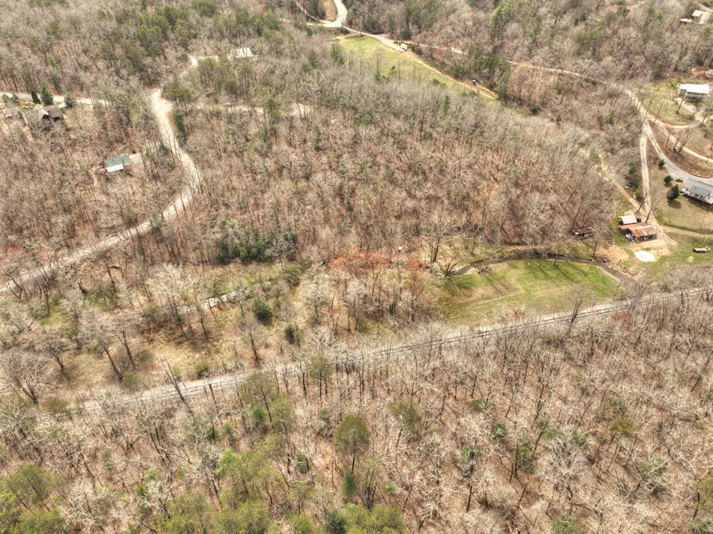 Lt 54-56 Black Gum Ii & Iii