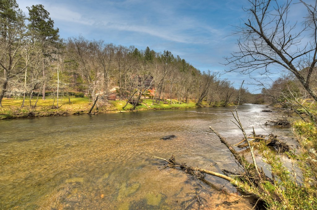 Lt 54-56 Black Gum Ii & Iii