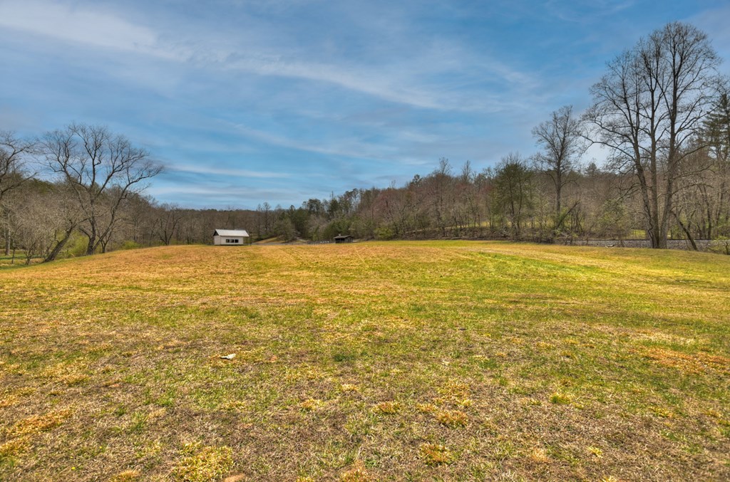 Lt 54-56 Black Gum Ii & Iii