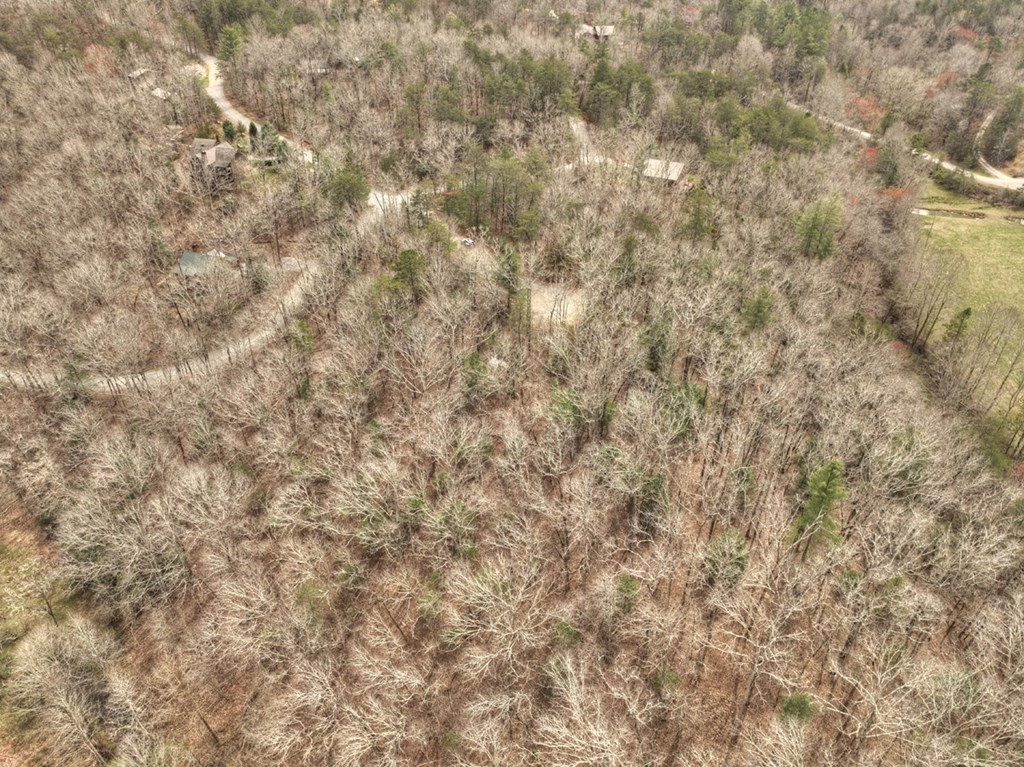 Lt 54-56 Black Gum Ii & Iii