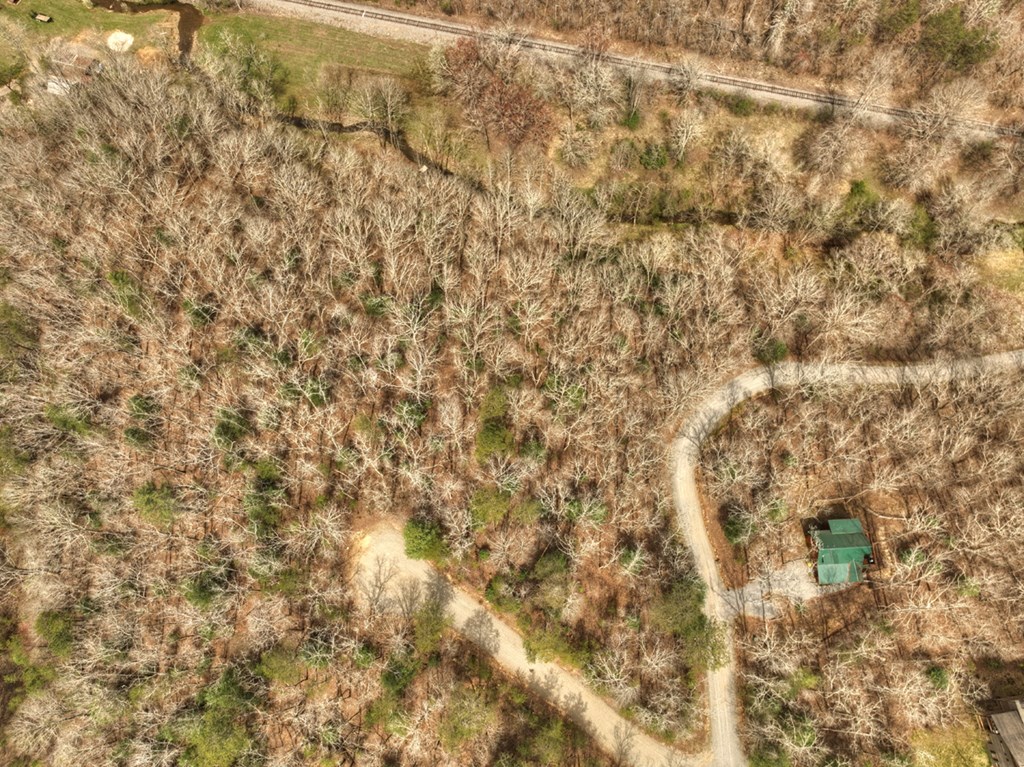 Lt 54-56 Black Gum Ii & Iii