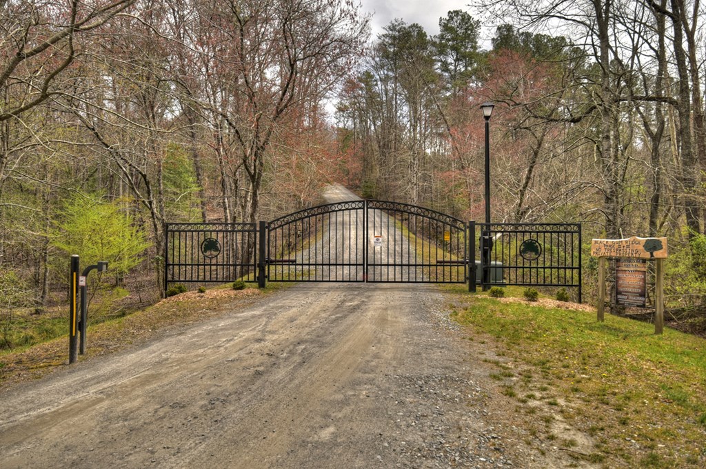 Lt 54-56 Black Gum Ii & Iii