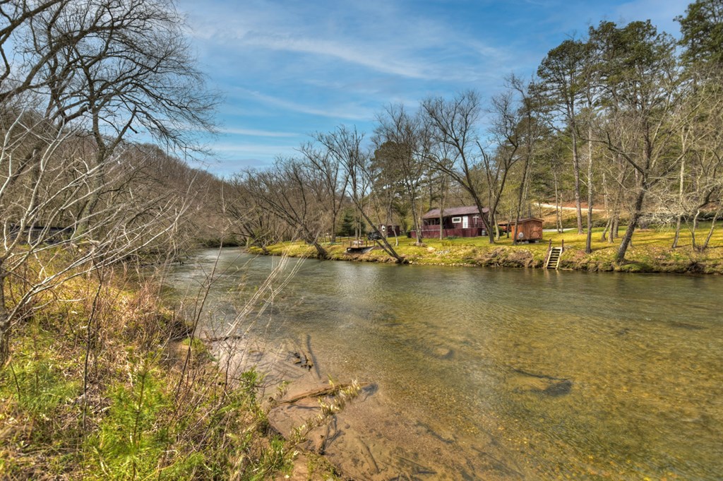 Lt 54-56 Black Gum Ii & Iii