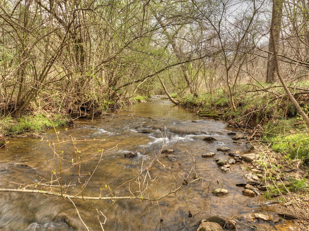 Lt 54-56 Black Gum Ii & Iii