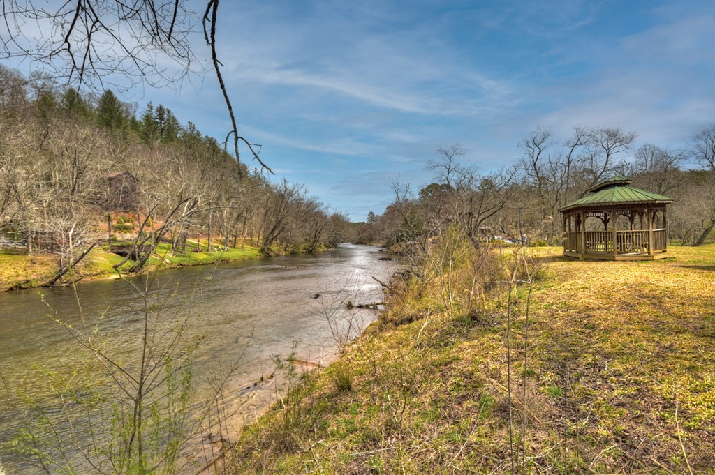 Lt 54-56 Black Gum Ii & Iii