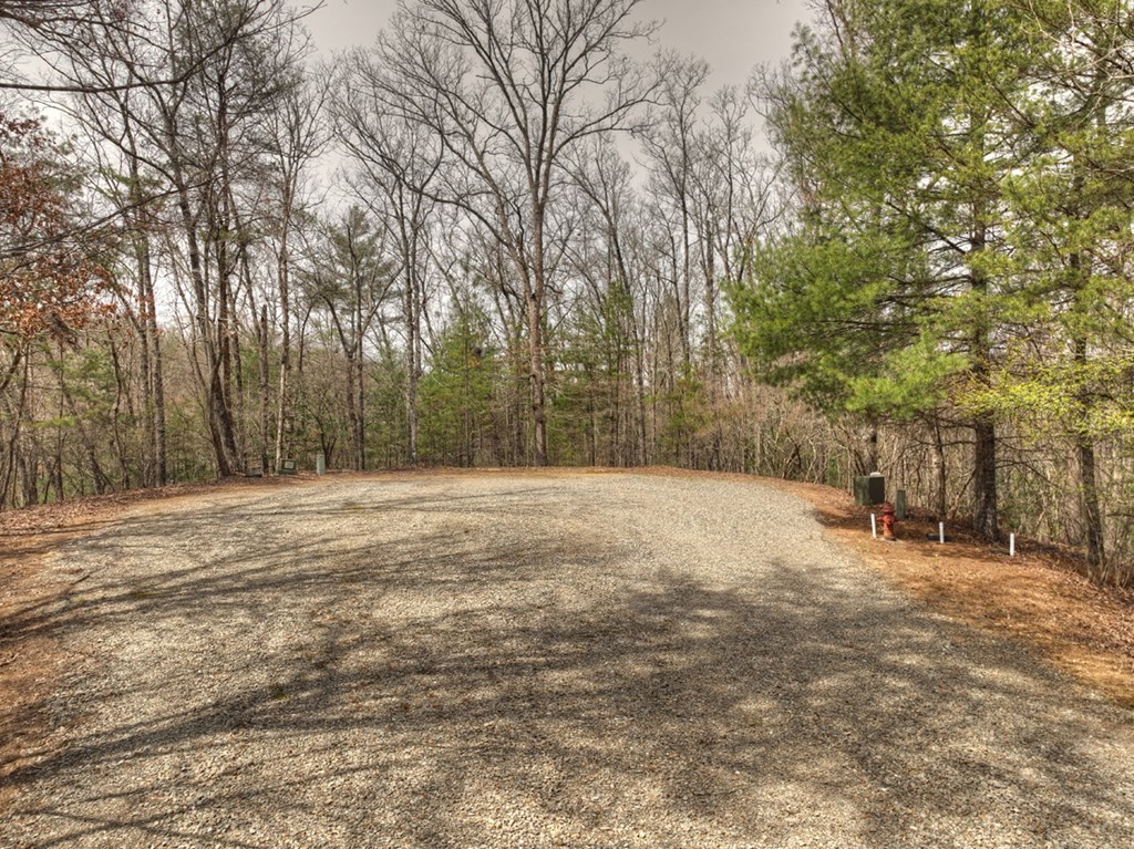 Lt 54-56 Black Gum Ii & Iii