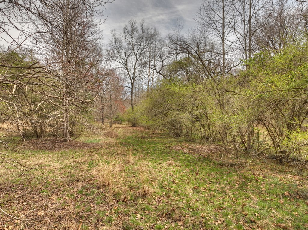 Lt 54-56 Black Gum Ii & Iii