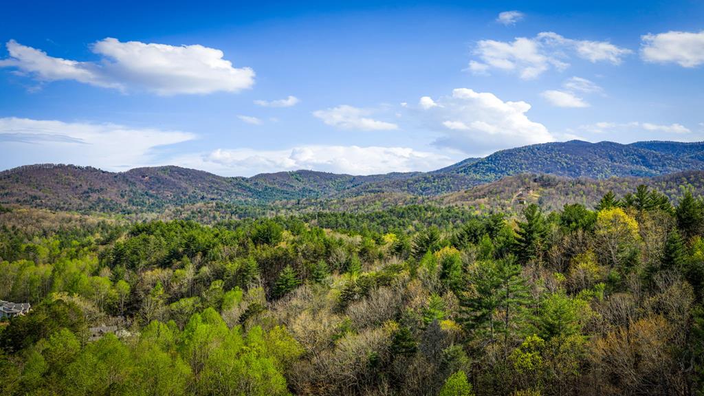 337 Big Sky Trail