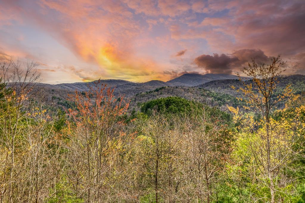 671 Stover Knob Trail