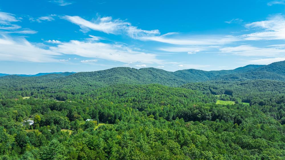 300 Cloudland Trace