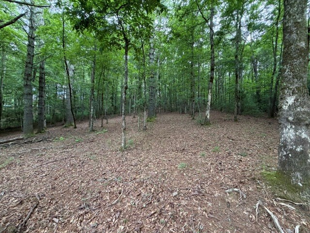 Lot 25 Bentwood Trail