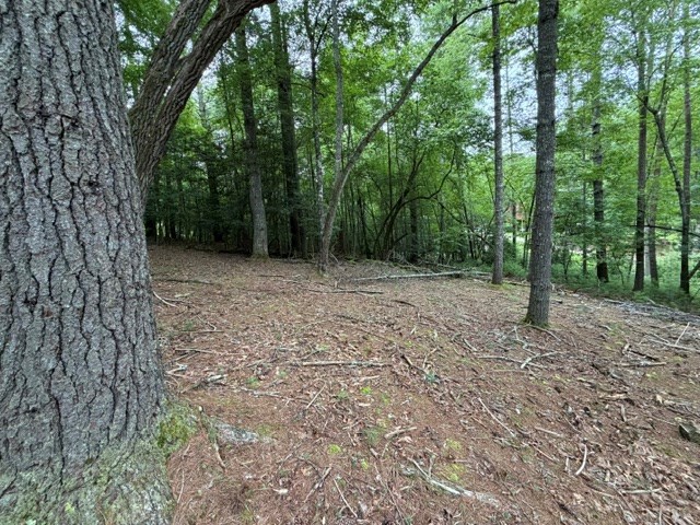 Lot 25 Bentwood Trail