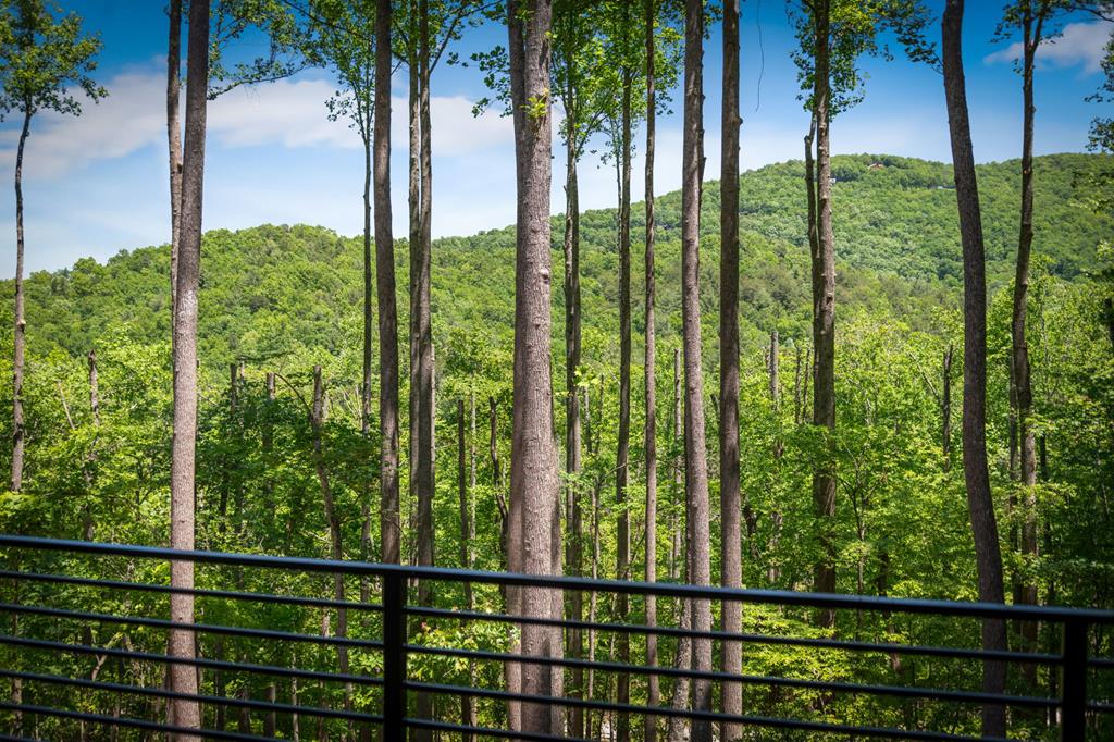 172 Grand Oaks Trail