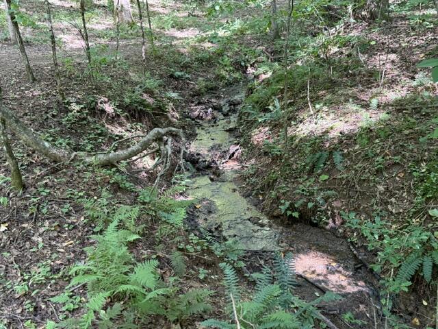 Tr. B&C Bear Hollow Way