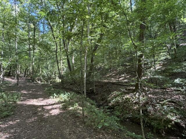 Tr. B&C Bear Hollow Way