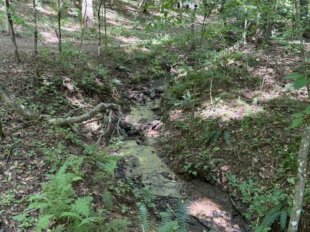 Tr. B&C Bear Hollow Way