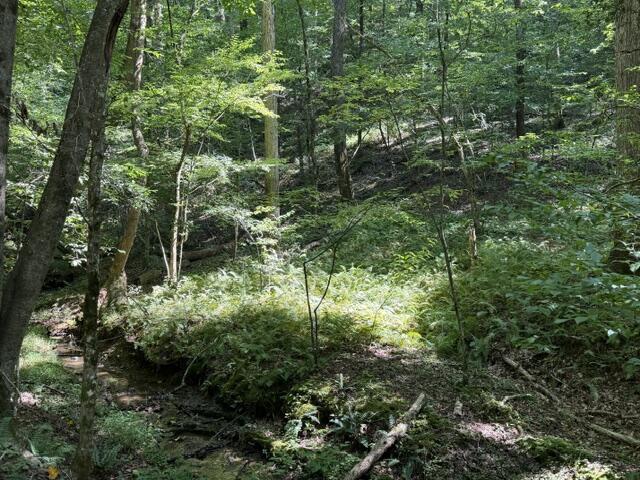 Tr. B&C Bear Hollow Way