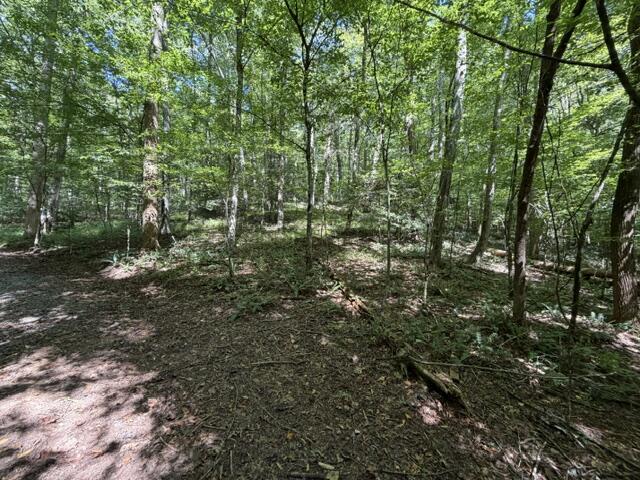 Tr. B&C Bear Hollow Way