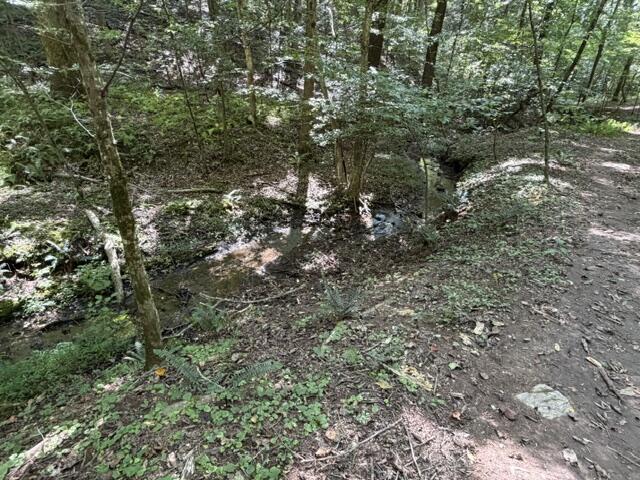 Tr. B&C Bear Hollow Way