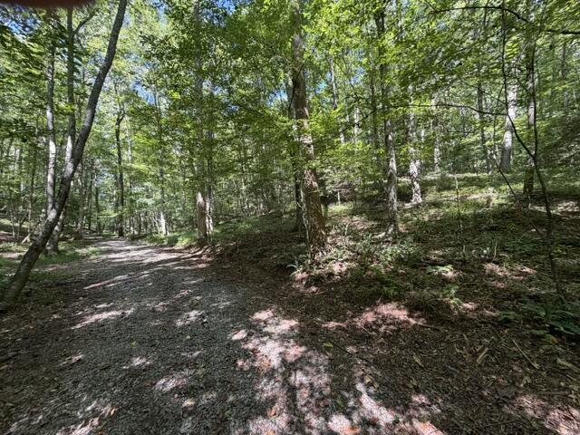 Tr. B&C Bear Hollow Way