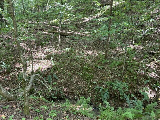 Tr. B&C Bear Hollow Way