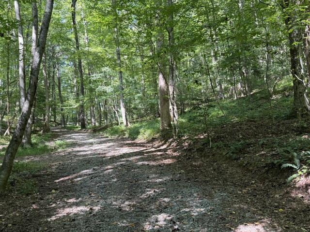 Tr. B&C Bear Hollow Way