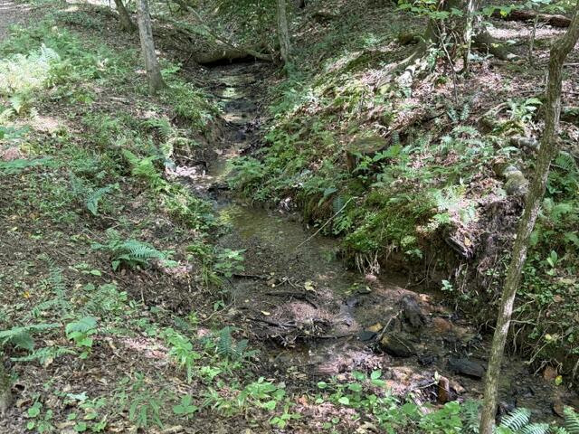 Tr. B&C Bear Hollow Way