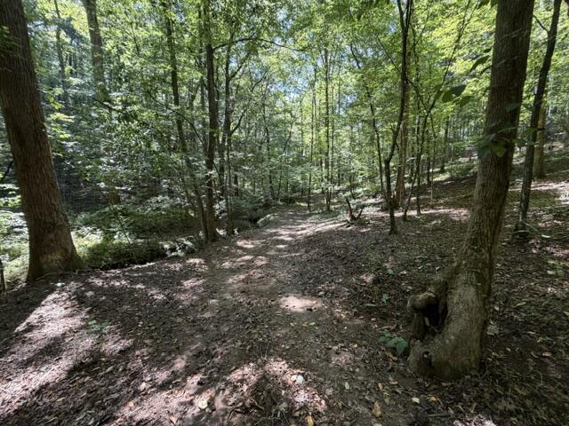 Tr. B&C Bear Hollow Way