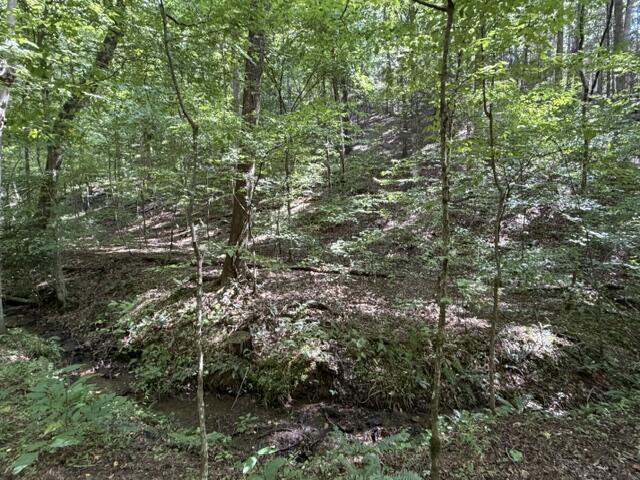 Tr. B&C Bear Hollow Way