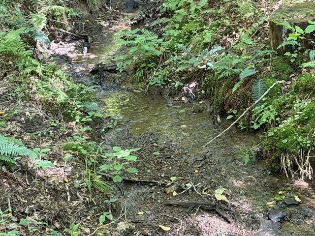 Tr. B&C Bear Hollow Way