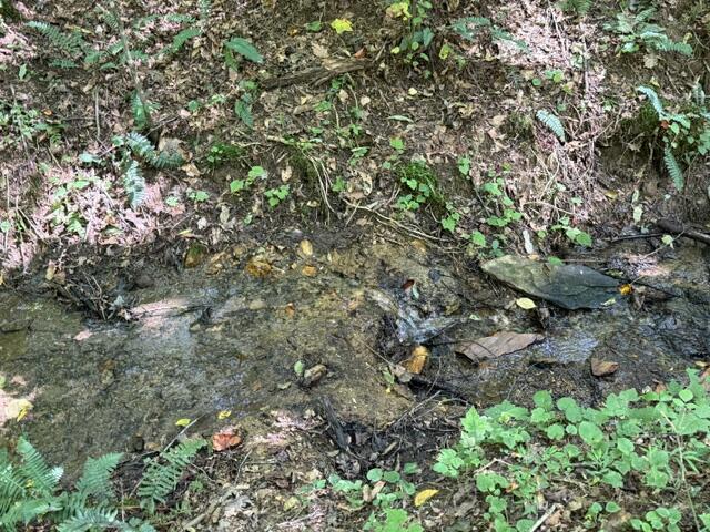 Tr. B&C Bear Hollow Way