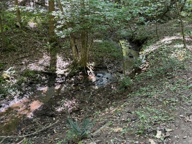 Tr. B&C Bear Hollow Way
